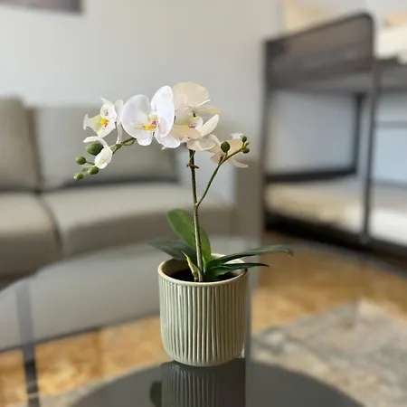 Casa Appartamento *